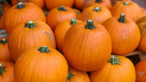 Gilt als der beliebteste Kürbis: Hokkaido. (Archivbild)