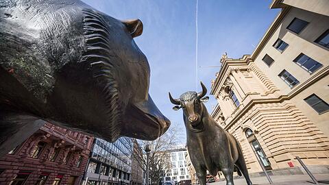Im vergangenen Jahr gab es weniger Aktionärinnen und Aktionäre als zuvor. Dennoch geht das Deutsche Aktieninstitut davon aus, dass in den kommenden Jahren mehr Deutsche auf Aktien, Aktienfonds und ETFs setzen.