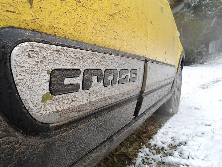 Der kleine Dreckbär: Mit dem neuen Fiat Panda Cross ist man dank modernem Allradantrieb auf Matsch und Schnee munter unterwegs.