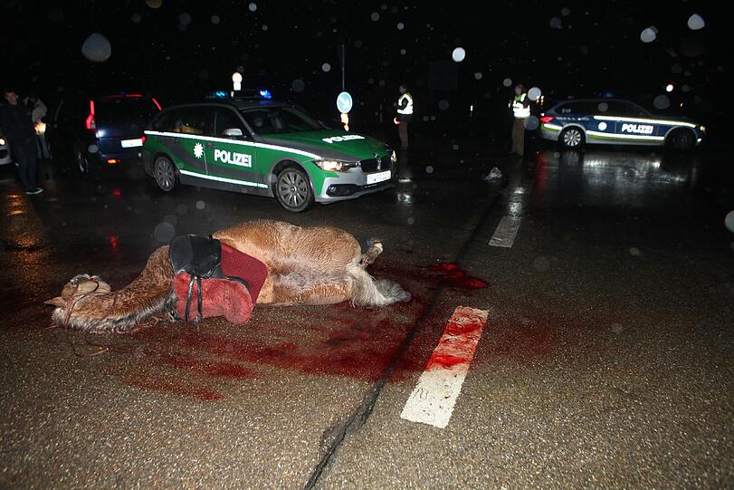 Die beiden Reiterinnen übersahen den Audi und wurden von ihm erfasst. Die Bilder von dem schrecklichen Unfall.