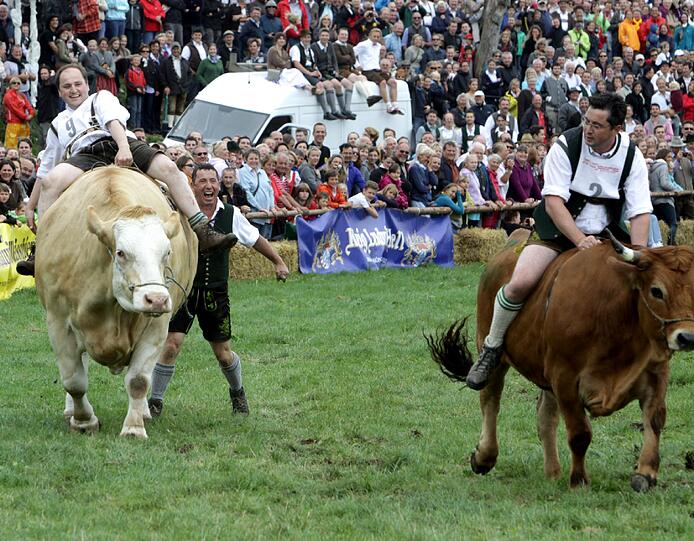 1996 war das Münsinger Ochsenrennen eine beschauliche Gaudi für die Landwirte aus der Gegend. Jetzt sind rund 10.000 Besucher gekommen. Wie Olympia und die Fußball-WM findet auch dieses sportliche Großereignis nur alle vier Jahre statt. Wir waren dabei. Die Bilder von der Gaudi