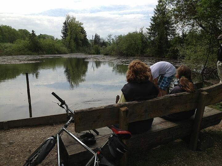 In der Aubinger Lohe gibt es auch einen Weiher.