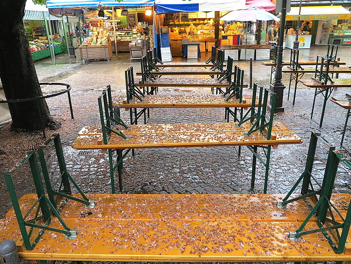 An eine frische Maß Bier im Biergarten ist momentan nicht zu denken. Bedeckt mit Kastanienblüten haben die Biergarnituren trotzdem Charme.