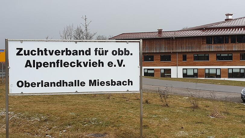 In der Oberlandhalle in Miesbach sind die Tiere verladen worden.