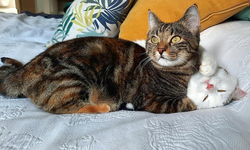 Nana und Lilli