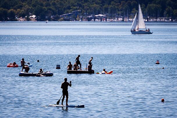 Der Wels griff laut Polizei Badende rund um eine Schwimminsel im Großen Brombachsee an. (Archivbild) Der Wels griff laut Polizei Badende rund um eine Schwimminsel im Großen Brombachsee an. (Archivbild)