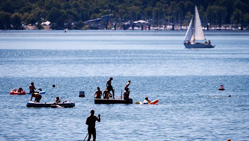 Der Wels griff laut Polizei Badende rund um eine Schwimminsel im Großen Brombachsee an. (Archivbild) Der Wels griff laut Polizei Badende rund um eine Schwimminsel im Großen Brombachsee an. (Archivbild)