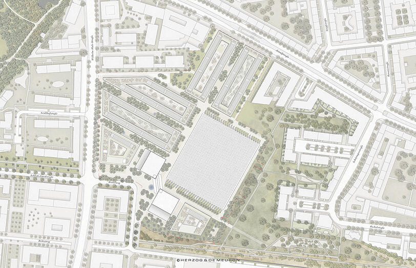 Der Masterplan: Um die Halle entstehen sechs weitere Gebäude.