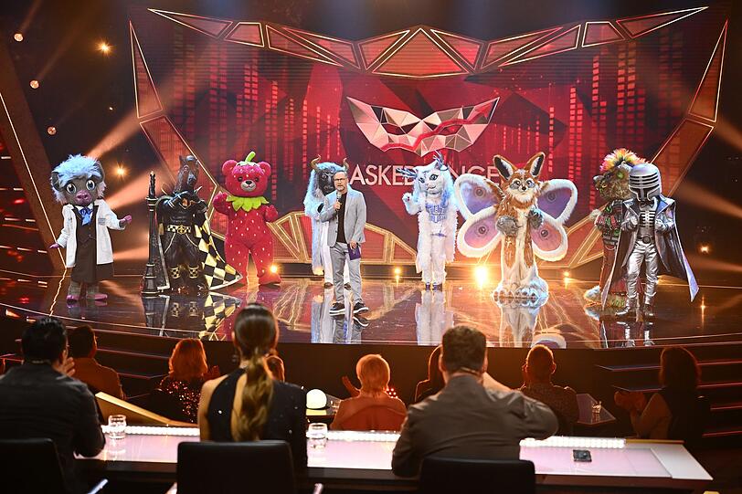 Diese acht Masken kämpften um den Einzug ins Finale (von links): Prof. Dr. Dr. Schweinstein, P.S., Erdbär, Fernando el Toro, Yeti Cat, Momo, Wild Thing und Mr. Mic. Diese acht Masken kämpften um den Einzug ins Finale (von links): Prof. Dr. Dr. Schweinstein, P.S., Erdbär, Fernando el Toro, Yeti Cat, Momo, Wild Thing und Mr. Mic.