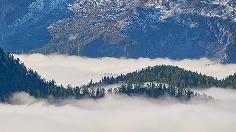 Schönau a. Königssee, Deutschland 12.10.2025: Im Bild: Blick vom Jenner auf das Nebelmeer mit bewaldeten Höhenrücken über den Berchtesgadener Alpen.