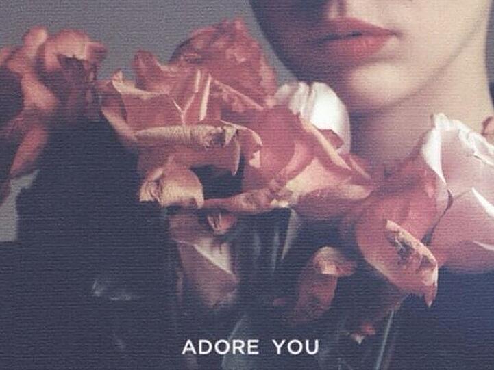 Das Cover zu Miley Cyrus neuem Song "Adore You" verrät nichts über den expliziten Inhalt des Videos