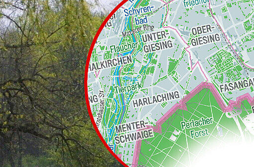Viel Grün zwischen Grau: Die Bilderstrecke zeigt, wo es in München Parks, Grün- und Erholungsflächen gibt &ndash; und wo Wasser.