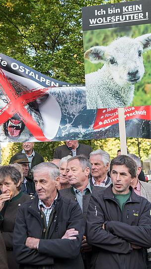Bei einer Demonstration mit dem Motto "Weidetiere statt Wolfsreviere" nahmen am Montag rund 300 Bauern aus drei Ländern vor dem Prinzregententheater. Hier wurde am Vormittag die 1. Umweltministerkonferenz zur EU-Alpenstrategie eröffnet.