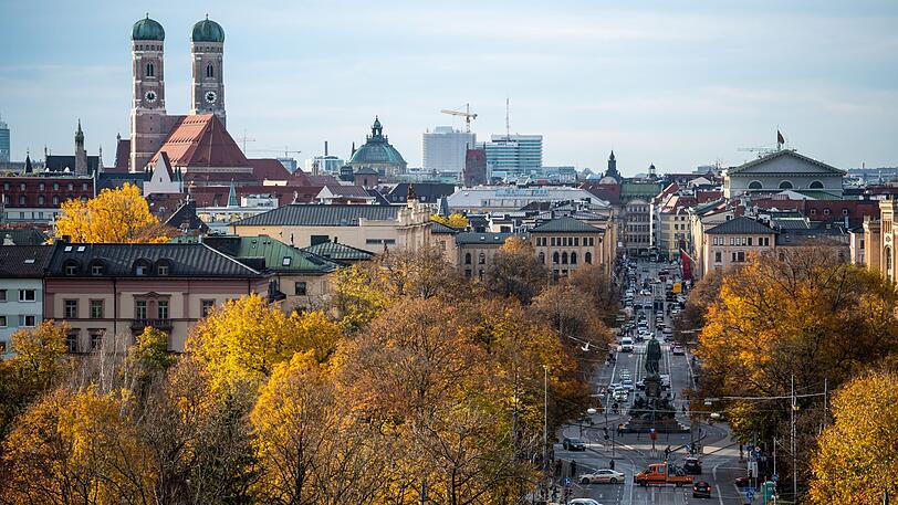 Die Münchner SPD will mehr Bäume in der Stadt.