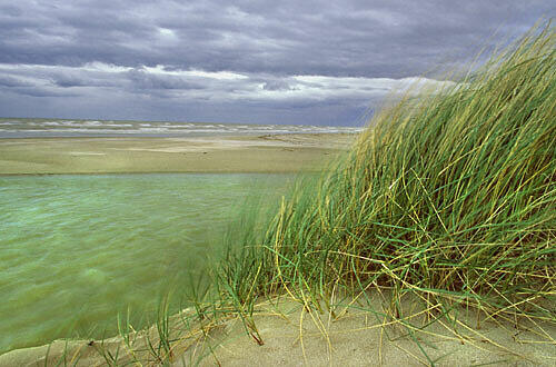 Landschaft am Po-Delta