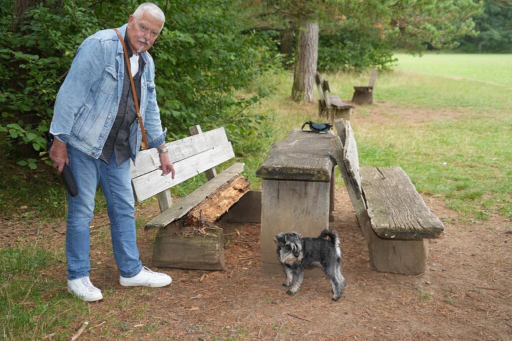 Ein Wald voller morscher Sitzbänke Anwohnerärger im Perlacher Forst