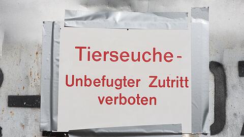 Die Geflügelpest versetzt Behörden und Landwirte in Alarmbereitschaft. (Archibbild)