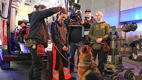 Sch&auml;ferhund Rex ist die Hauptfigur von "Kommissar Rex".