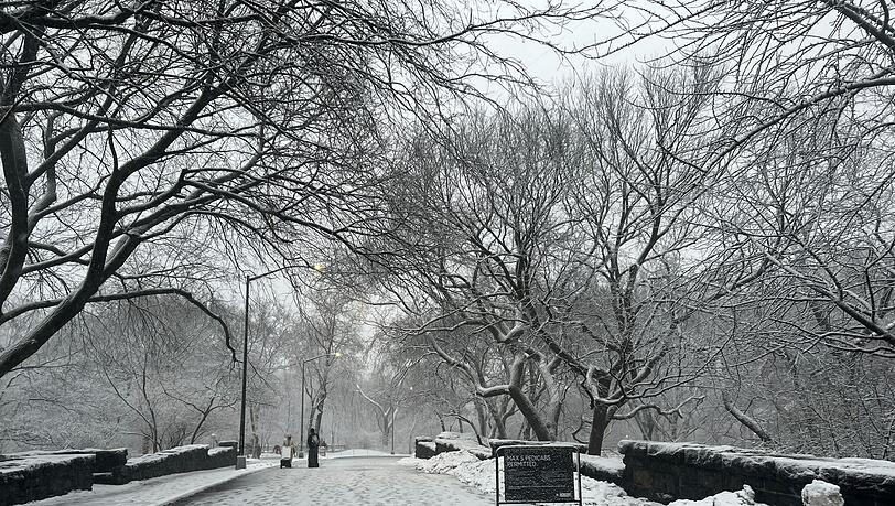 In New York legt der viele Schnee das &ouml;ffentliche Leben lahm.