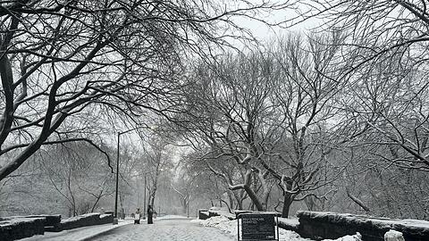 In New York legt der viele Schnee das &ouml;ffentliche Leben lahm.