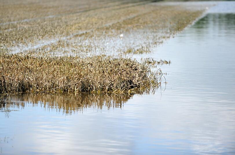 Auch ein Feld steht in Deggendorf noch immer unter Wasser.