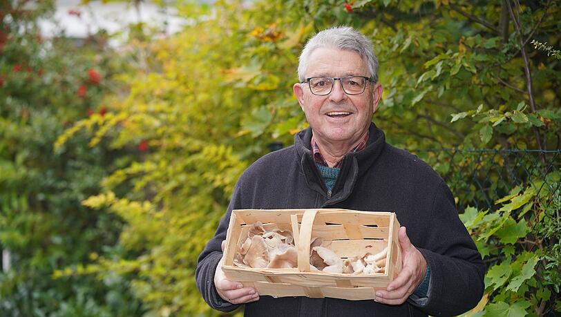Der Münchner Pilz-Experte Georg Dünzl mit einem Korb voller Austernseitlinge. Der frühere Zahnarzt (71) ist seit 2016 ausgebildeter Pilzberater und sitzt im Vorstand des Münchner Vereins für Pilzkunde.