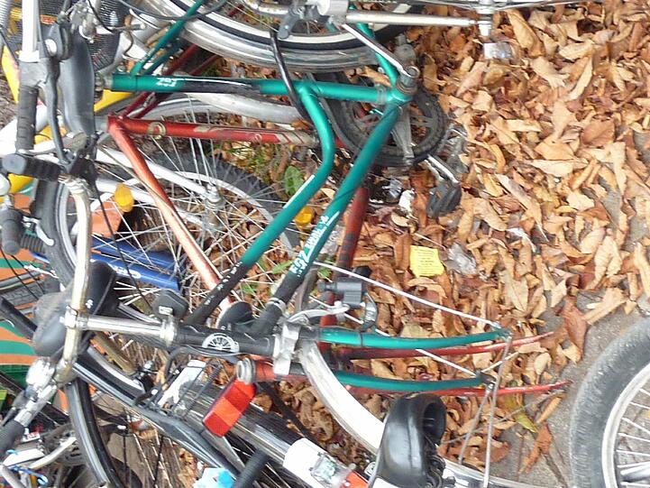 Fahrräder gammeln im Herbstlaub vor sich hin: Das Baureferat hat in drei Jahren 6600 alte Radl entsorgt.