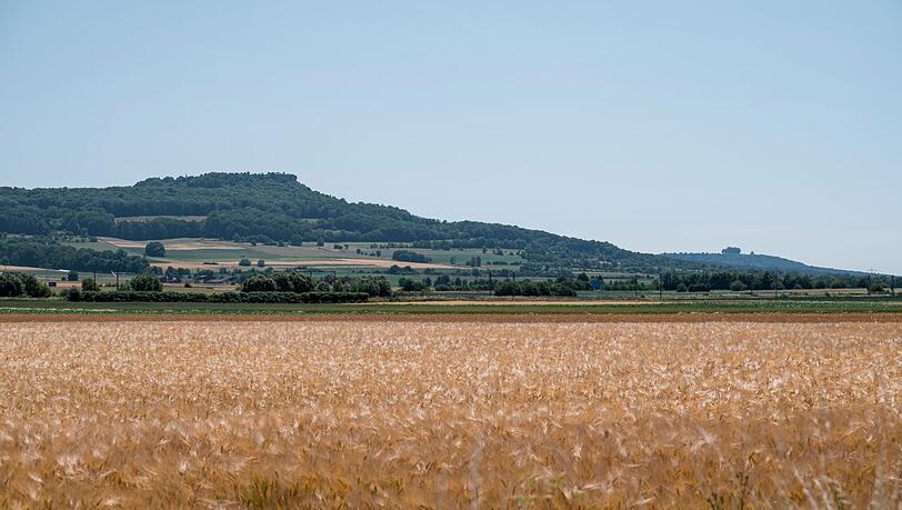 Der August war laut Daten des Landesamts für Umwelt vor allem in Nordbayern deutlich zu trocken. (Archivbild)