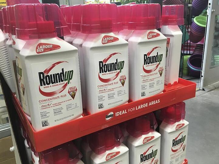 Der Unkrautvernichter Roundup mit dem Wirkstoff Glyphosat steht in einem Geschäft.