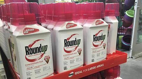 Der Unkrautvernichter Roundup mit dem Wirkstoff Glyphosat steht in einem Geschäft.