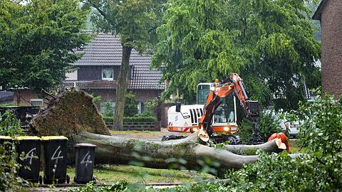 Die Unwetter ließen auch große Bäume umstürzen.