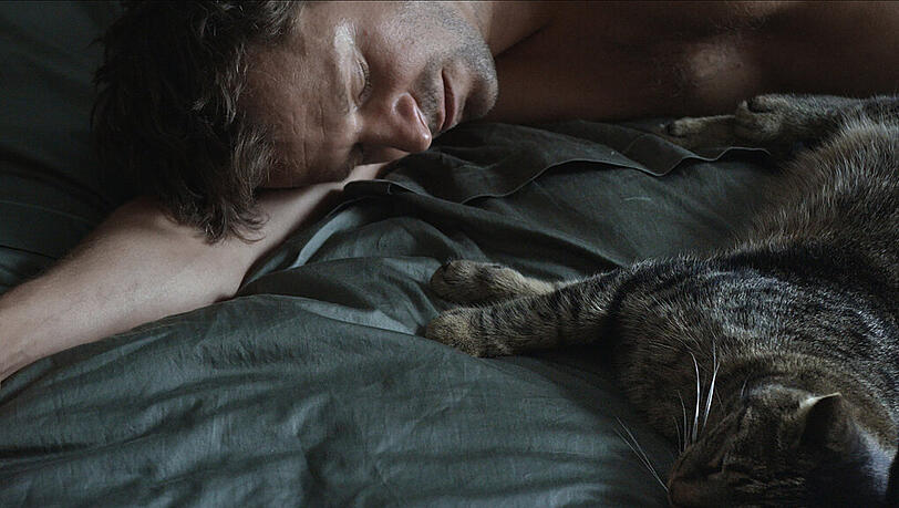 Philipp Hochmair als Andreas mit dem Kater. Philipp Hochmair als Andreas mit dem Kater.