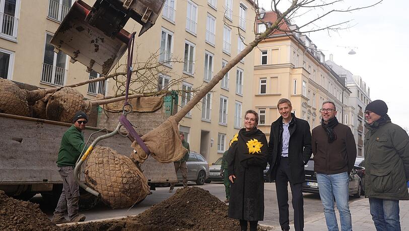 In Arndtstra&szlig;e werden am Dienstagvormittag sieben Stra&szlig;enb&auml;ume gepflanzt. Baureferentin Jeanne-Marie Ehbauer und B&uuml;rgermeister Dominik Krause (2. v.l.) geben mit dem Bezirksausschuss und Umweltreferat den Startschuss.