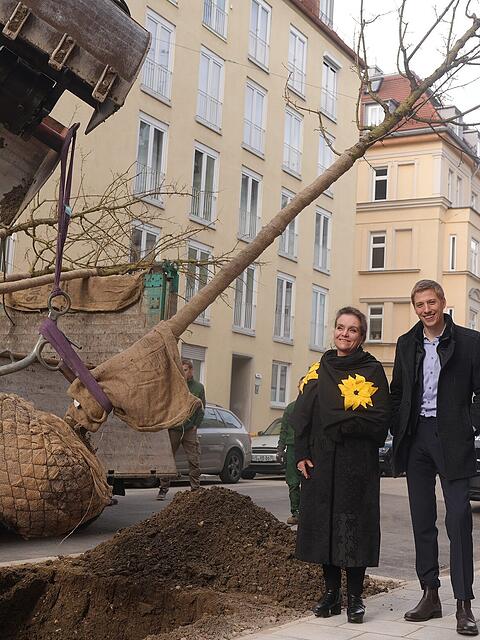 In Arndtstra&szlig;e werden am Dienstagvormittag sieben Stra&szlig;enb&auml;ume gepflanzt. Baureferentin Jeanne-Marie Ehbauer und B&uuml;rgermeister Dominik Krause (2. v.l.) geben mit dem Bezirksausschuss und Umweltreferat den Startschuss.
