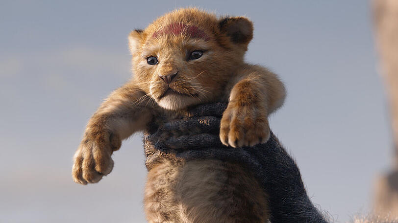 Disneys "Der König der Löwen" wird weitererzählt.