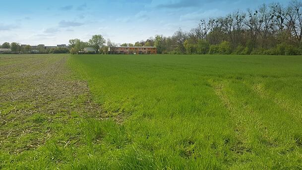 Noch sind hier in Ludwigsfeld Wiesen und Felder, aber bald sollen hier knapp 2000 Wohnungen entstehen, auch zwei 15-stöckige Wohnblocks. Noch sind hier in Ludwigsfeld Wiesen und Felder, aber bald sollen hier knapp 2000 Wohnungen entstehen, auch zwei 15-stöckige Wohnblocks.