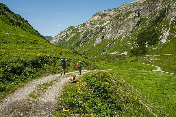 Nicht jede Route ist für das Wandern mit dem Hund geeignet. Ideal sind laut Happy Dog Pfade, die durch den Wald oder entlang eines kühlen Bachs führen. Nicht jede Route ist für das Wandern mit dem Hund geeignet. Ideal sind laut Happy Dog Pfade, die durch den Wald oder entlang eines kühlen Bachs führen.