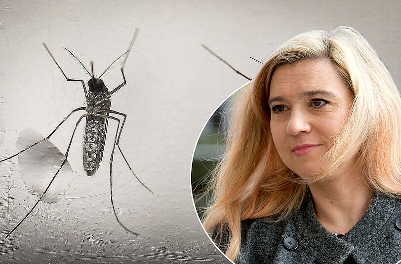 Zika-Viren werden primär durch den Stich infizierter Mücken übertragen. Gesundheitsministerin Melanie Huml  empfiehlt Urlaubern daher die Nutzung von Kondomen.