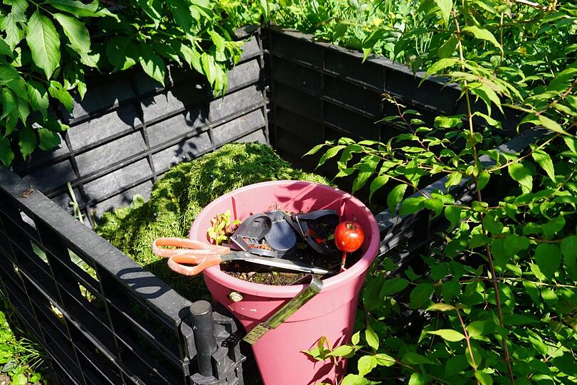 Hinterm Küchenfenster in der Laube steht Christa Heimanns Kühlschrank und Gasgrill, braucht's mehr?