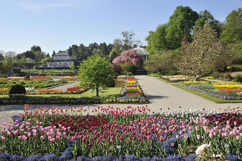 So schön blüht es jetzt im Botanischen Garten.