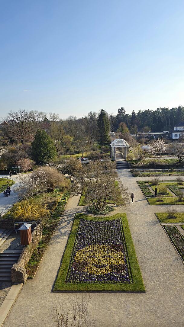 Im Blumenbeet ist ein gelber Smiley mit Herzchen zu erkennen.