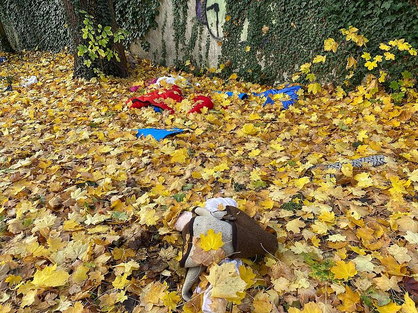 Nass und durchweicht: Im Laub liegen Decken, Isomatten und Kleidungsstücke. Nass und durchweicht: Im Laub liegen Decken, Isomatten und Kleidungsstücke.