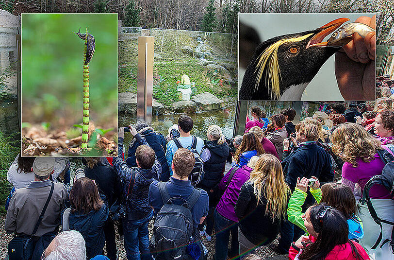 Vom 13. März bis 26. April findet im Tierpark Hellabrunn die Fotoausstellung "Klick in die Zukunft" statt.
