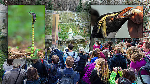Vom 13. März bis 26. April findet im Tierpark Hellabrunn die Fotoausstellung "Klick in die Zukunft" statt.