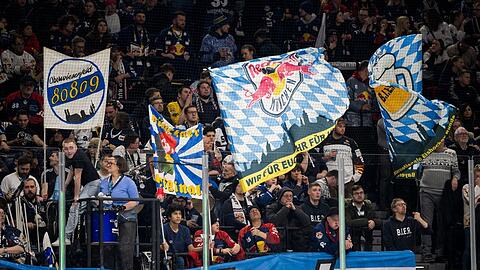 Über 10.000 Fans kommen im Schnitt zum EHC.