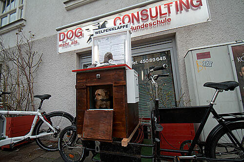 So sieht die Hundeklappe aus.
