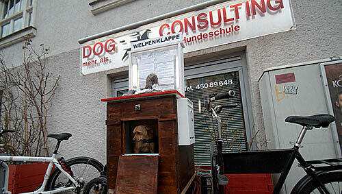 So sieht die Hundeklappe aus. So sieht die Hundeklappe aus.