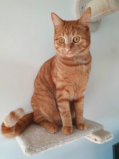 Monty