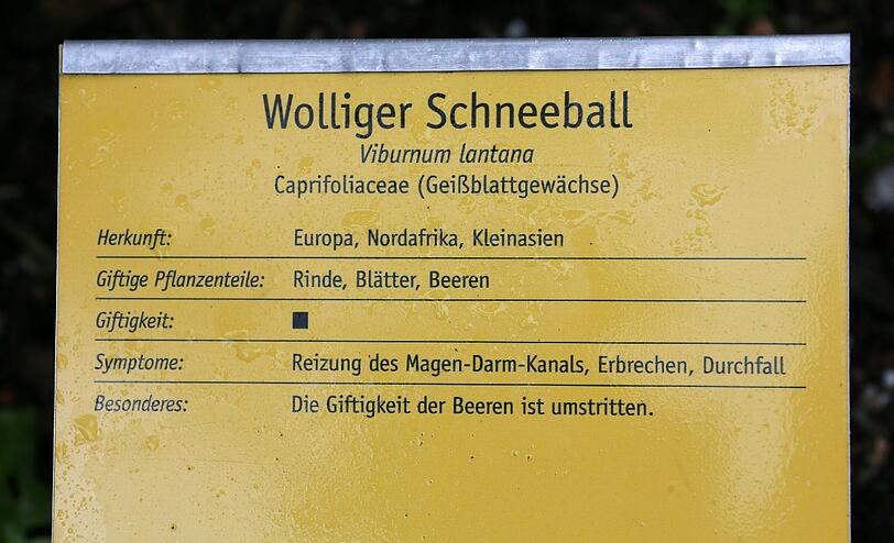 Auflösung siehe Tafel