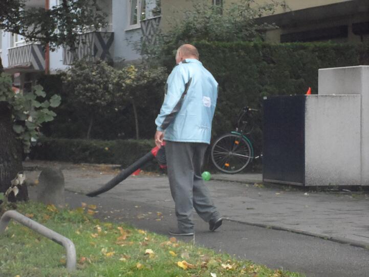 ...auch wenn sich der Aufwand wegen der paar Blättchen eigentlich noch gar nicht rentiert.
